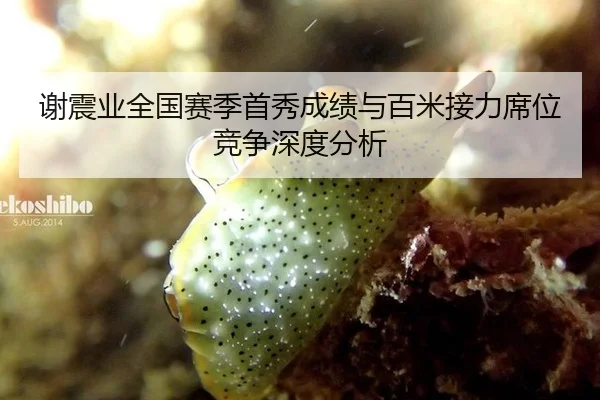 谢震业全国赛季首秀成绩与百米接力席位竞争深度分析